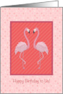 Shared Birthday with Granddaughter Pink Flamingos card