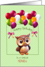 Birthday Wishes to Nephew with Owl and Balloons card