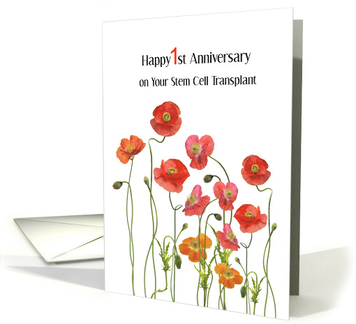 Stem Cell Transplant 1st Anniversary Poppies card (1630002)