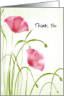 Stem Cell Donation Thank You Poppies card