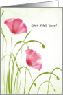 Get Well Stem Cell Transplant Pink Poppies card