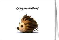 New Pet Hedgehog Congratulations card