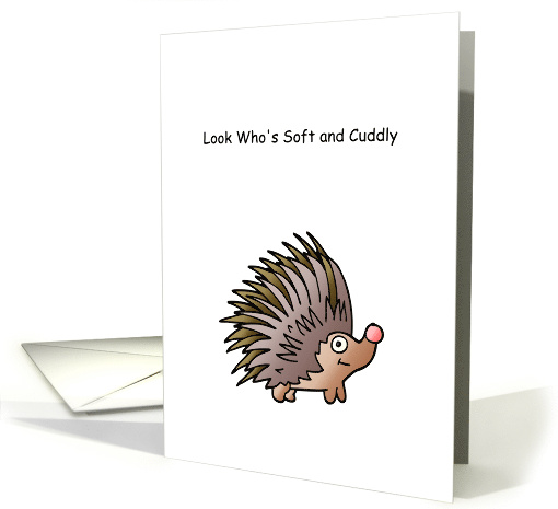 New Pet Hedgehog Congratulations card (1635602)