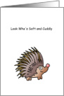 New Pet Hedgehog Congratulations card