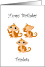 Birthday for Triplets Monkeys card