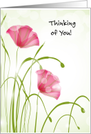 Thinking of You Heart Catheterization Poppies card