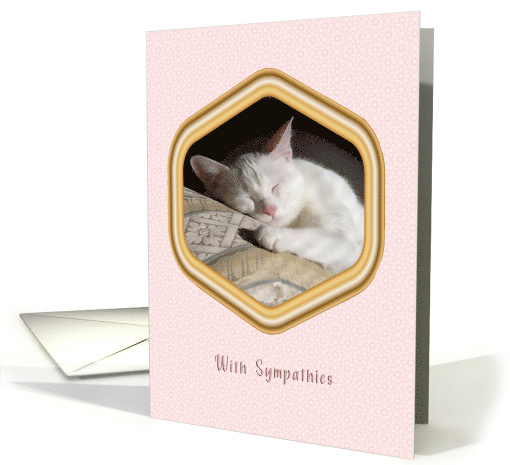 Pet Sympathy for Loss of Cat White Cat card (1657292)