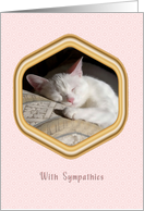 Pet Sympathy for Loss of Cat White Cat card