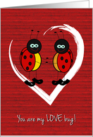 Valentine Ladybugs...