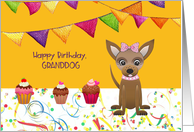 Birthday Party for Granddog with Streamers and Flags card