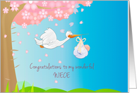 Pregnancy Congratulations for Niece with Stork and Baby card