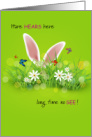 Bunny Missing You with Pink Ears card