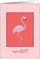 60th Birthday with Pink Flamingo card