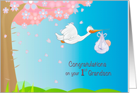 New First Grandson for Grandmother with Stork and Baby boy card