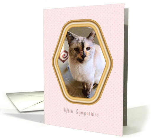 Pet Sympathy for Loss of Cat card (1753776)