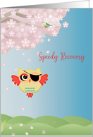 Cornea Transplant Surgery Speedy Recovery with Owl card