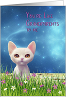 Grandparents Day Like a Grandparent with White Cat card
