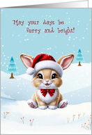Christmas Bunny in Snow with Santa Hat card