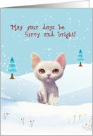 Christmas Cat in Snow card