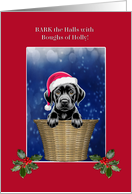 Christmas Black Lab Puppy in Basket with Holly card