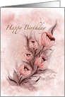 Pure Pink Poppy Flowers Bunch for Special Birthday Wish card