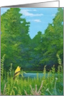 Thinking of You for a Bird Lover a Summer Landscape with a Goldfinch card