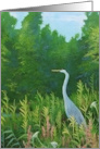 Thinking of You For a Bird Lover a Landscape with a Great Blue Herring card