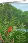 Thinking of You for a Bird Lover Summer Landscape with a Male Cardinal card