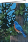 Thinking of You for a Bird Lover Summer Landscape with a Blue bird card
