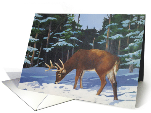 Happy Holidays with a Deer in the Snow card (1633278)