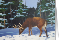 Happy Holidays with a Deer in the Snow card