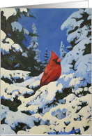 Winter Landscape with a Cardinal in the Snow with a Blue Sky card