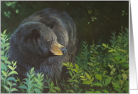 Thinking of You for Animal Lover a Bear in a Field card