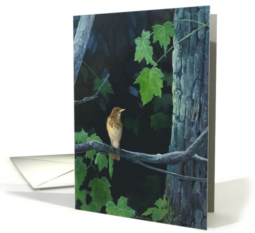 A Thrush on a Branch with Leaves and Trees Bird card (1695520)