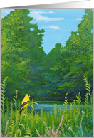 Thinking of You for a Bird Lover a Summer Landscape with a Goldfinch card