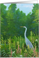 Thinking of You For a Bird Lover a Landscape with a Great Blue Herring card