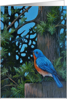 Thinking of You for a Bird Lover Summer Landscape with a Blue bird card