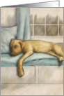 Missing You Golden Puppy Sleeping on a Window Seat card