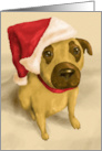 Christmas Pet Brown and Tan Puppy Wears a Santa Hat card