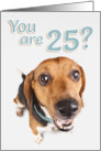 25 Years Old Birthday Brown and Black Beagle on White card