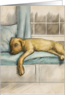 Missing You Golden Puppy Sleeping on a Window Seat card
