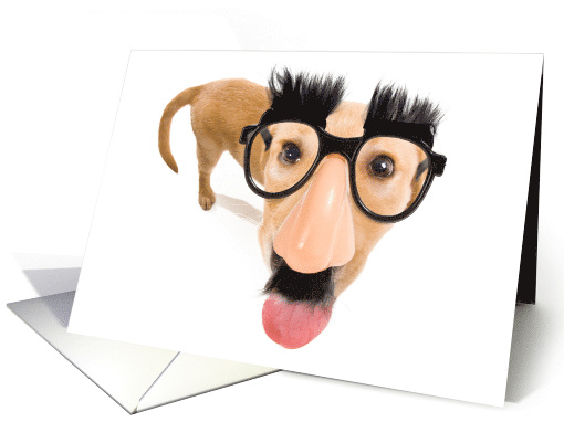 Encouragement Funny Puppy in Fake Nose Costume card (1642970)