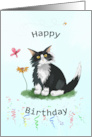 Tuxedo Cat Happy Birthday card