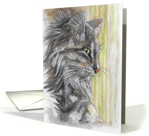 Blank Any Occasion Maine Coon Cat card (1656502)