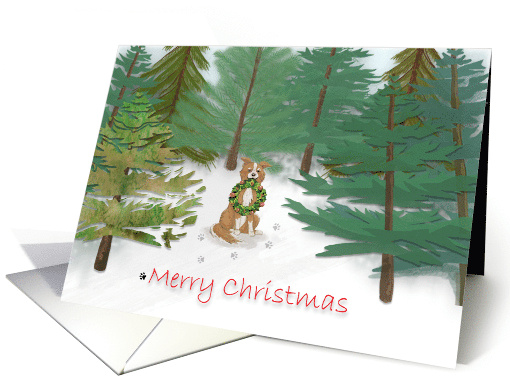 Dog in Evergreen Woods With Christmas Wreath card (1656508)