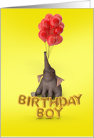 Baby Elephant birthday boy card