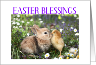 EASTER BLESSINGS card