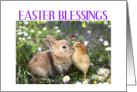 EASTER BLESSINGS card