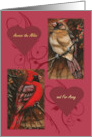 For Valentine Cardinal Pair Across the Miles and Far Away card