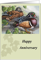 Couple Anniversary Wood Duck Pair in a Sycamore Tree card